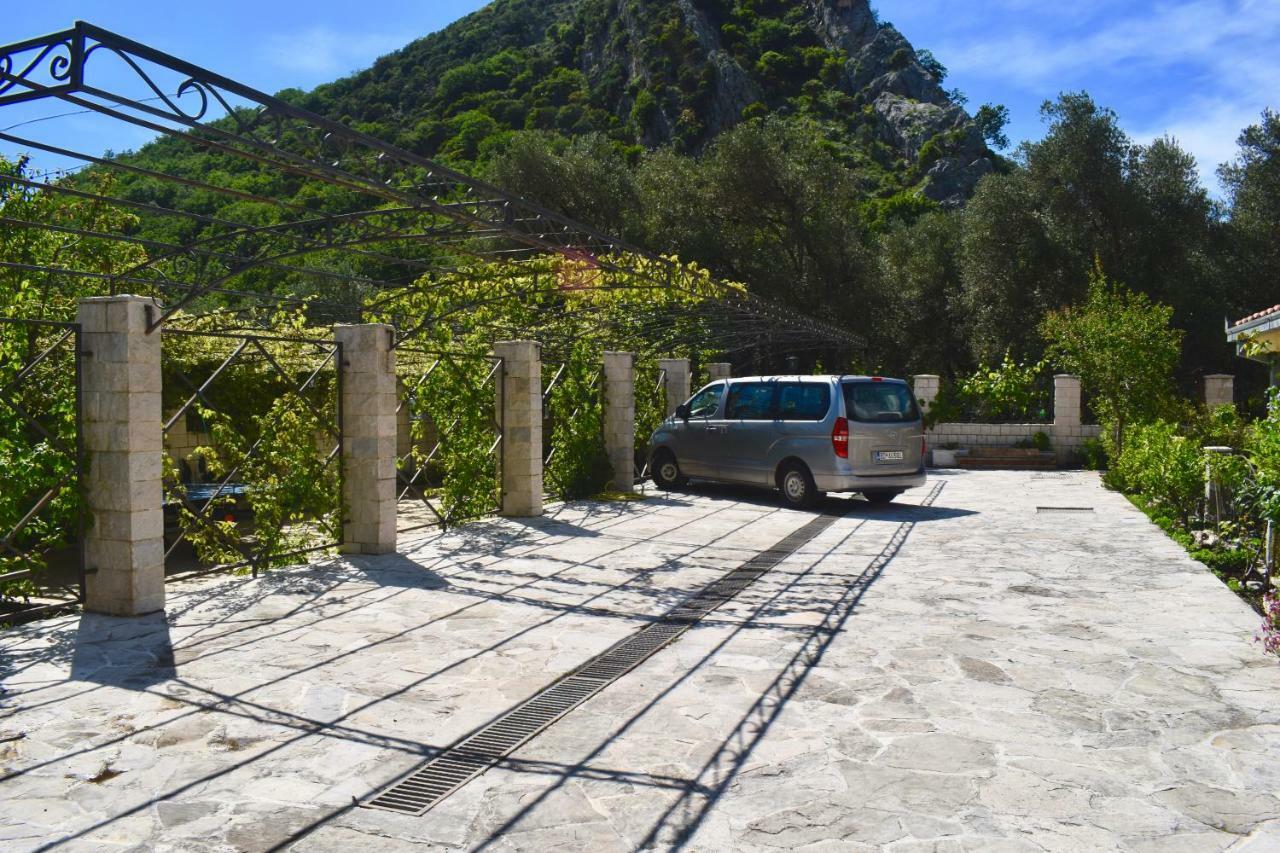 Villa Dolphin Apartments Petrovac Exterior foto