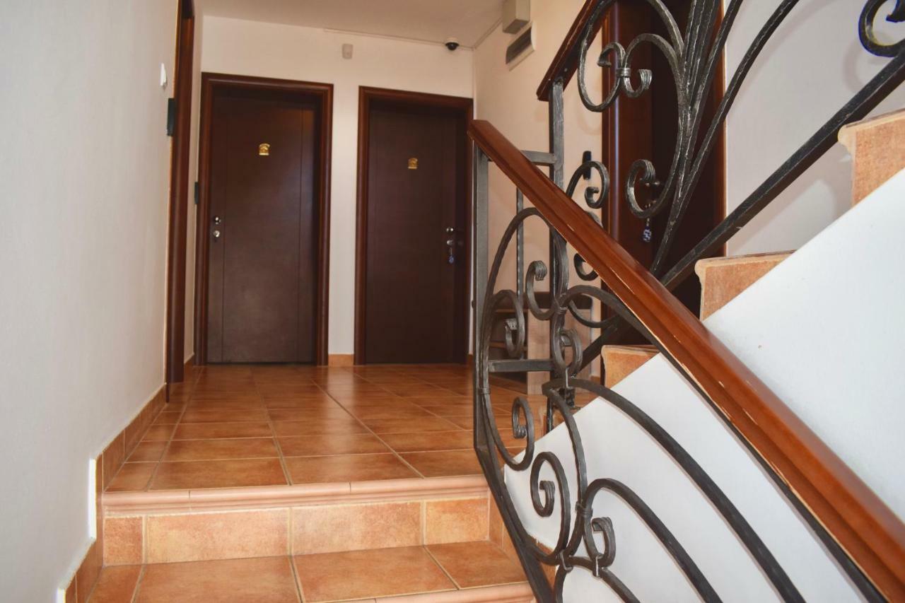 Villa Dolphin Apartments Petrovac Exterior foto